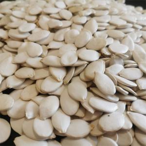 Wholesale Top grade Snow White Pumpkin Seeds with Moisture 7%max from china suppliers