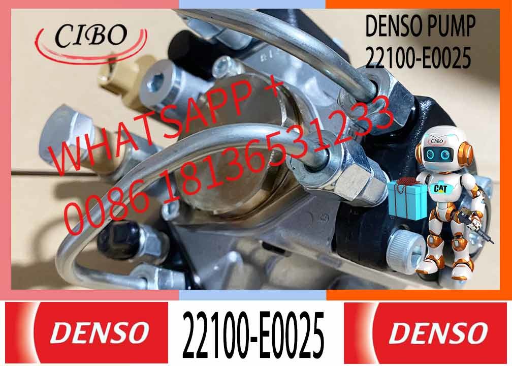 Diesel Engine J08E High Pressure Fuel Pump 22100-E0025 For Hino 294050-0138