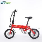 E6-4 2 Wheel Electric Bike 36V 250W Brushless Motor Lithium Battery Aluminum