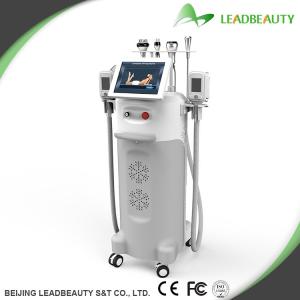 Wholesale 5 handles cryolipolysis machine with good quality multi-functional from china suppliers