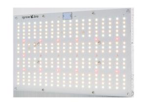 Wholesale Dimming 120W 660nm DIY Quantum Board Grow Light from china suppliers