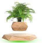 Flower pot Magnetic Levitating Plant pot Air Bonsai Levitating Bonsai Floating