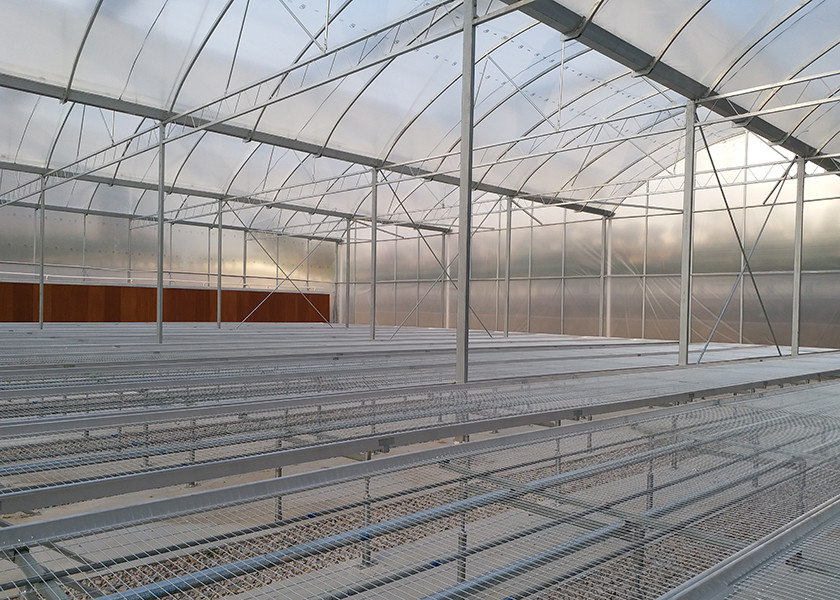 Easy Installation Multi Span Greenhouse With Large Diameter Frame Anti Wind Design
