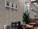SGS Waterstone Ceramic Decorative Tile Outdoor Cladding 15x60cm