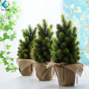 China Mini Indoor Green Plants , Bonsai Christmas Tree For Table Ornament on sale