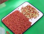 Peanut Nuts Color Sorter , Automatic CCD Color Sorter Taiwan Meanwell Power