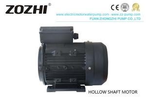 China NEMA Type Small Hollow Shaft Motor 0.75HP 2 Pole 0.25-22kw 100% Copper Winding on sale