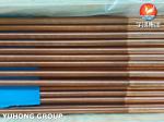 ASTM B111 UNS C12200 Seamless Copper Tube Heat Exchanger Low Fin Tube