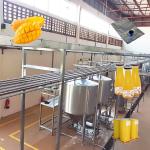Dried Apples And Mangoes Production Line Stainless Steel Fruit And Vegetable