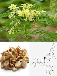 Wholesale Manufacturer supply Astragaloside IV 0.3%-98%, CAS No.: 84687-43-4, 100% Astragalus Root Extract, Pharma standard from china suppliers