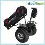 Self Balancing Electric Golf Scooter Segway Outdoor Dual Wheel