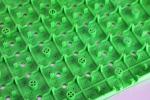Thermoplastic Rubber Artificial Grass Drainage Underlay Green For Sport Field
