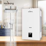 Wall Mounted Flue Gas Water Heater With Flue Exhaust And Optional Protection