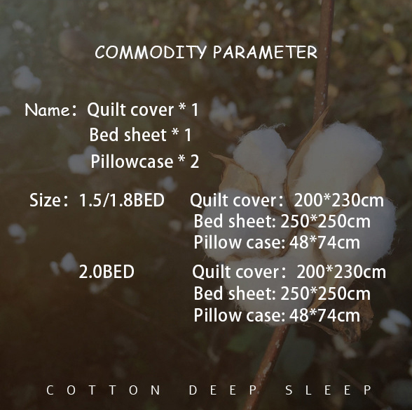 Wedding Jacquard Printed Luxury King Size Silk Satin Bed Set for Sustainable Comfort