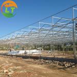 50m Length Glass Greenhouse for Sightseeing Stable Structure and Customizable