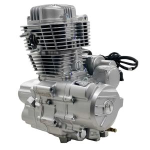Wholesale DAYANG 200cc Tricycle Air Cooling Engine for Peru Three Wheel Motorcycle Trike Engine from china suppliers