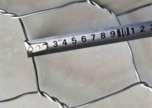 Wholesale BWG 21 3/4 Inch 19mm Galvanized Hexagonal Wire Mesh from china suppliers