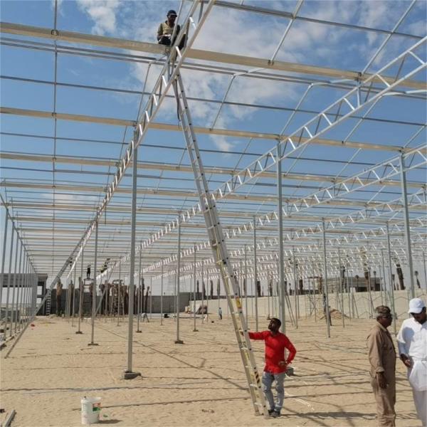 Venlo Heavy Duty Polycarbonate Greenhouse 8x10 8 X 12 6x8 6x4 12x48m Growing