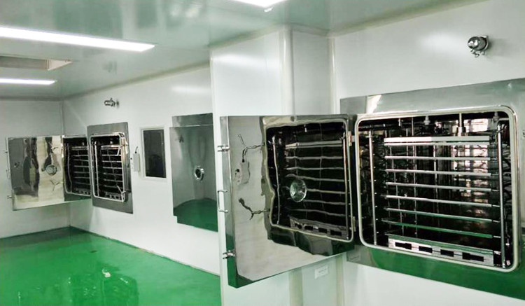 10M2 CIP SIP Pharma Vacuum Freeze Drying Machine Factory Industrial Pharmaceutical Lyophilizer