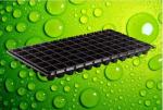32cells PS 54cm Length Plastic Seed Trays Planting Flats With Dome