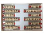 High Wear Resistance Dental Acrylic Resin Teeth For Biocompatibility
