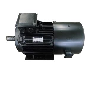 Wholesale IP54 IP55 IP68 Three Phase Permanent Magnet Motor High Torque Low Noise from china suppliers