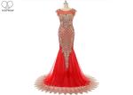 Sleeveless Gold Long Tail Gown Lace Front Back Embroidery Beading Side Zipper