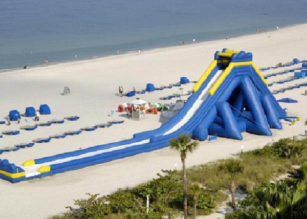 Customized Commercial Inflatable Water Slides , Blue Hippo Giant Inflatable