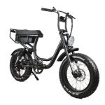 2 Seat Vintage Bike Electric Fat Tire Bike with 20*4" Tire Width 2024 Style V8