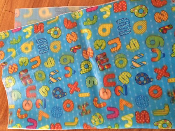 PLASTICLENTICULAR Custom lenticular TPU PVC Patch Garment 3d lenticular patch