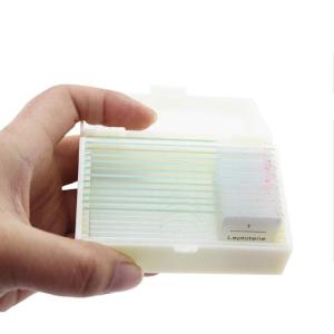 Wholesale Glass 12pcs Onion Meiosis Prepared Botany Slides For School Research from china suppliers