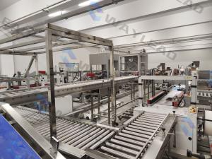 Wholesale 250-350g/m2 Carton Size Leisure Food Automatic Packaging Machinery / Production Line from china suppliers