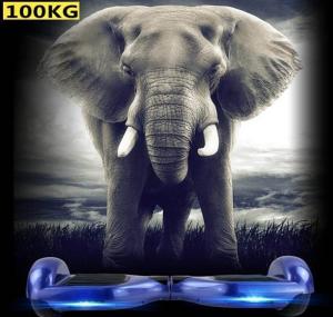 Wholesale Fashion TG Q3 Electric Scooters Self Balancing Onewheel Skateboard GK-F9 from china suppliers