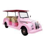 Vintage 48V 45 Mph Electric Golf Cart Aetric Golf Cart 6 Seater For Hotel Club