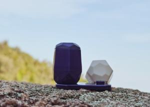 Wholesale White And Purple Disposable Seasoning Shakers With 1g Salt 0.3g Black Pepper For Various Occasions from china suppliers