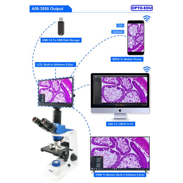 11.6" 8.0M Digital Microscope Camera with 4K 3840x2160 Resolution
