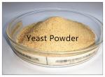 Live Stocks Yeast Powder Rich In Vitamins B & Organic Micro Nutrient, 40KG/Bag