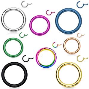 Wholesale Titanium Hinged Segment Cliker Nose Ring Nose Hoop Ring Ear Tragus Cartilage Body Jewelry from china suppliers