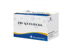 China EBV-VCA IgA Ab Test ELISA Kit Enzyme Immunoassay Test Plasma Specimen on sale
