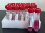 Virus Sample Transfer Tubes , Multiple Sample Collection Tube
