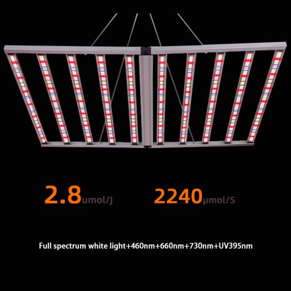 Three Channel 1000W LED Grow Light Dimmable Full Spectrum With Max 5x5ft