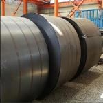 Cold Rolled/Hot Rolled Stainless Steel/Galvanized/Aluminum/Carbon Steel/ PPGI