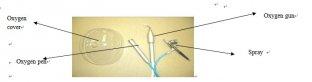 Oxygen Jet Beauty facial Equipment XM-Y1