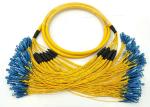 SC UPC G652D 12 Branches 144 Core Fiber Optic Patch Cords