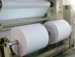 Focus Brand 100% Virgin Wood Pulp Thermal Paper Jumbo Roll Width 762-1270mm