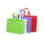 China Factory Promotional Laminated Custom Shopping PP Non Woven Bag
