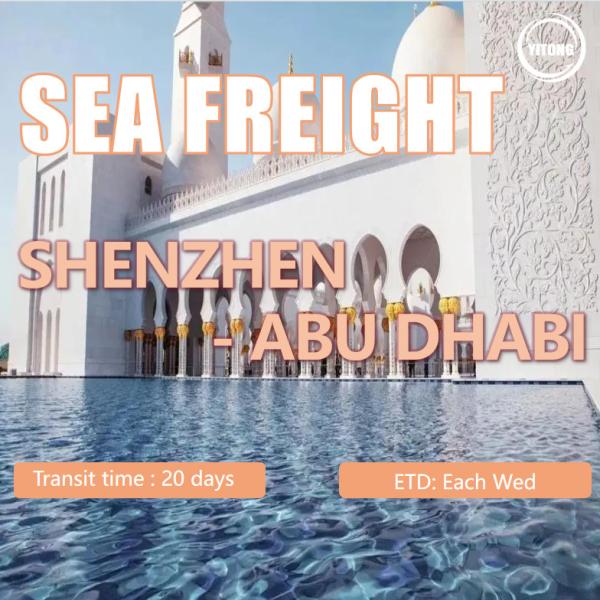 Cheapest Sea Freight Shipping to Sudan/ Egypt/Libya/Tunisia/Algeria/Morocco