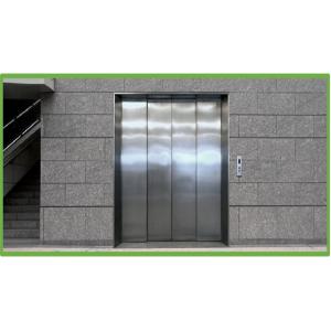 Wholesale Opening Width 700*1300mm Floor Landing Door Center-Opening Doors For Elevator Lift from china suppliers