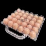 Disposable 30 Holes Plastic Egg Cartons Lightweight Blister With Handle