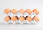 Paper Fruit Tray / Egg Tray Making Machine 350 -3000pcs/h High Efficiency